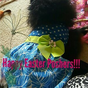💐🌷💐🌷💐EASTER WISHES! 💐🌷💐🌷💐